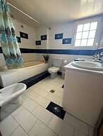 Freeman Greenlees Classical Greek