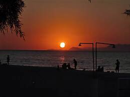 Freeman Greenlees Classical Greek