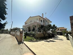 Freeman Greenlees Classical Greek