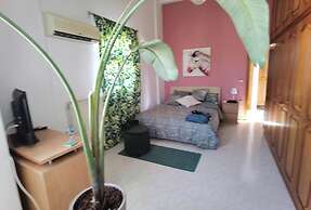 Freeman Greenlees Classical Greek