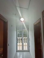 Freeman Greenlees Classical Greek