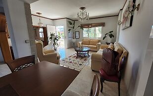 Freeman Greenlees Classical Greek