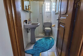 Freeman Greenlees Classical Greek