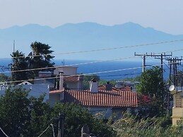 Freeman Greenlees Classical Greek