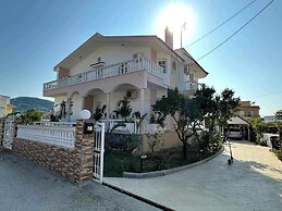 Freeman Greenlees Classical Greek