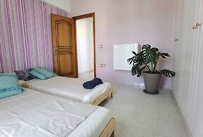 Freeman Greenlees Classical Greek