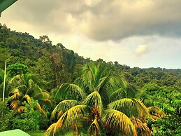 Pinard's Mountain Resort- Cottage 8