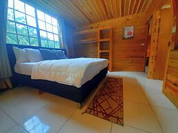 Pinard's Mountain Resort- Cottage 8