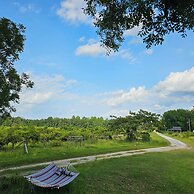Phoenix Farms Vineyard