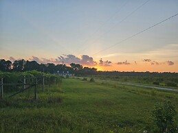Phoenix Farms Vineyard