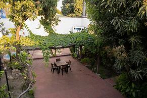 Volcano Hostal y Restaurante