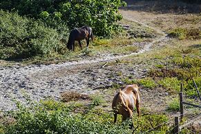 4Ever Palace Design & Nature