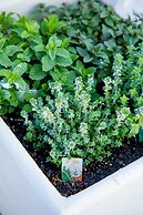 4Ever Palace Design & Nature