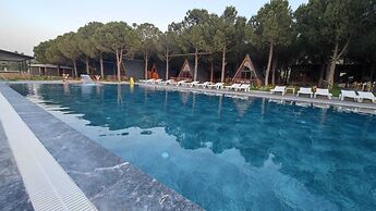 Welllife Hotels & Restaurant