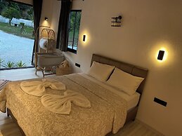 Zirkon Vadi Village Hotel