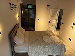 Zirkon Vadi Village Hotel