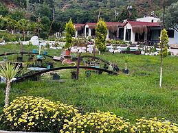 Zirkon Vadi Village Hotel