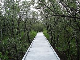 Tamiami On The Canal
