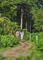 The Coffee City - Healing & Retreats