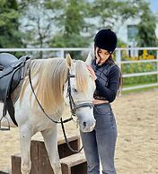 The Coffee City - Healing & Retreats