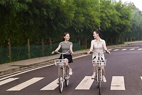 The Coffee City - Healing & Retreats