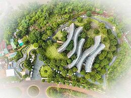 The Coffee City - Healing & Retreats