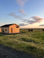 Sleeping with the Horses