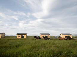 Sleeping with the Horses