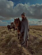 Sleeping with the Horses