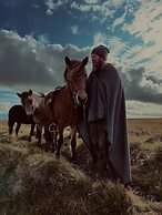 Sleeping with the Horses