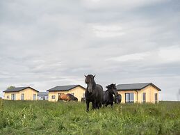 Sleeping with the Horses