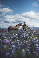 Sleeping with the Horses