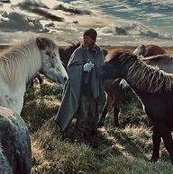 Sleeping with the Horses