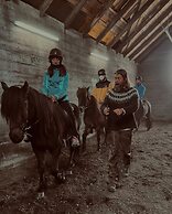 Sleeping with the Horses