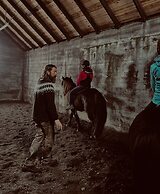 Sleeping with the Horses