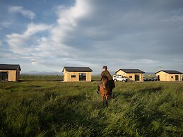Sleeping with the Horses