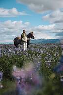Sleeping with the Horses