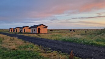 Sleeping with the Horses