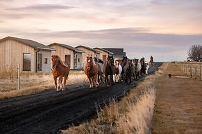 Sleeping with the Horses