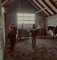 Sleeping with the Horses