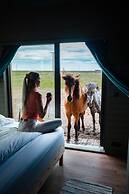 Sleeping with the Horses
