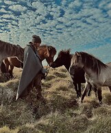 Sleeping with the Horses