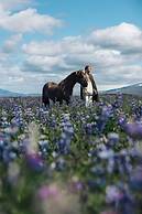 Sleeping with the Horses