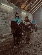 Sleeping with the Horses