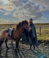 Sleeping with the Horses
