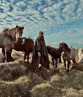 Sleeping with the Horses