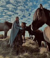 Sleeping with the Horses