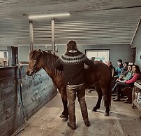 Sleeping with the Horses