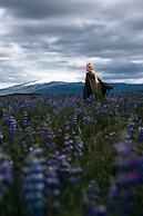 Sleeping with the Horses