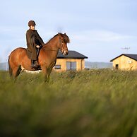 Sleeping with the Horses